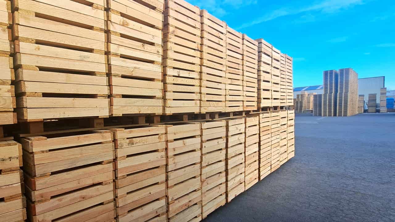 Asesoramiento experto: Calidad y personalización en cada palet industrial