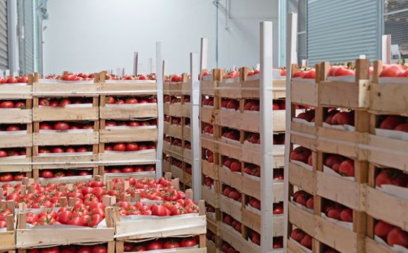 palets-fruta-verdura